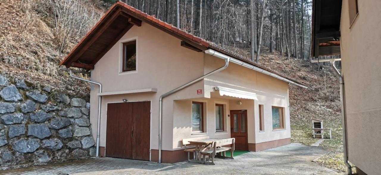 Apartma Regina Slovenj Gradec Exterior photo
